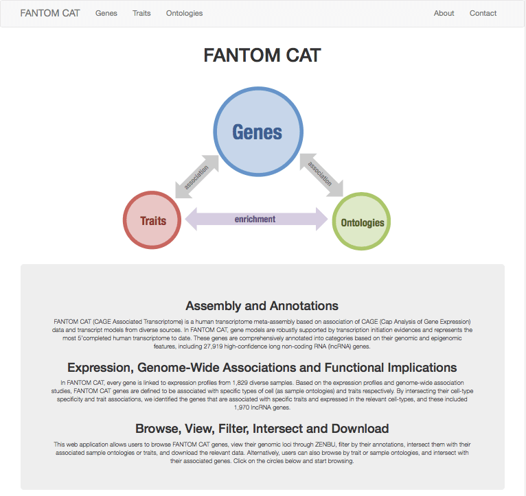 FANTOM CAT Browser